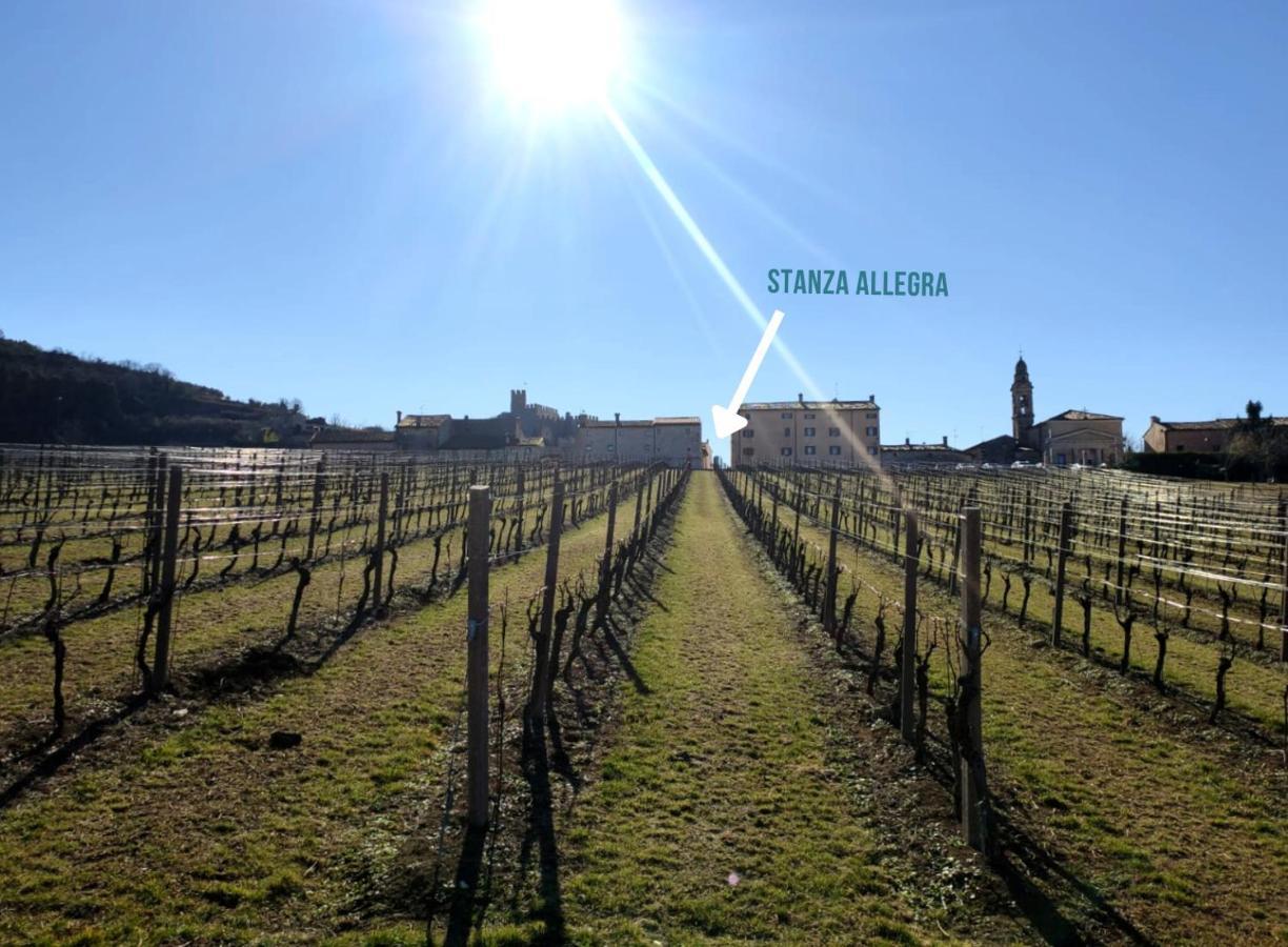 Stanza Allegra Soave エクステリア 写真