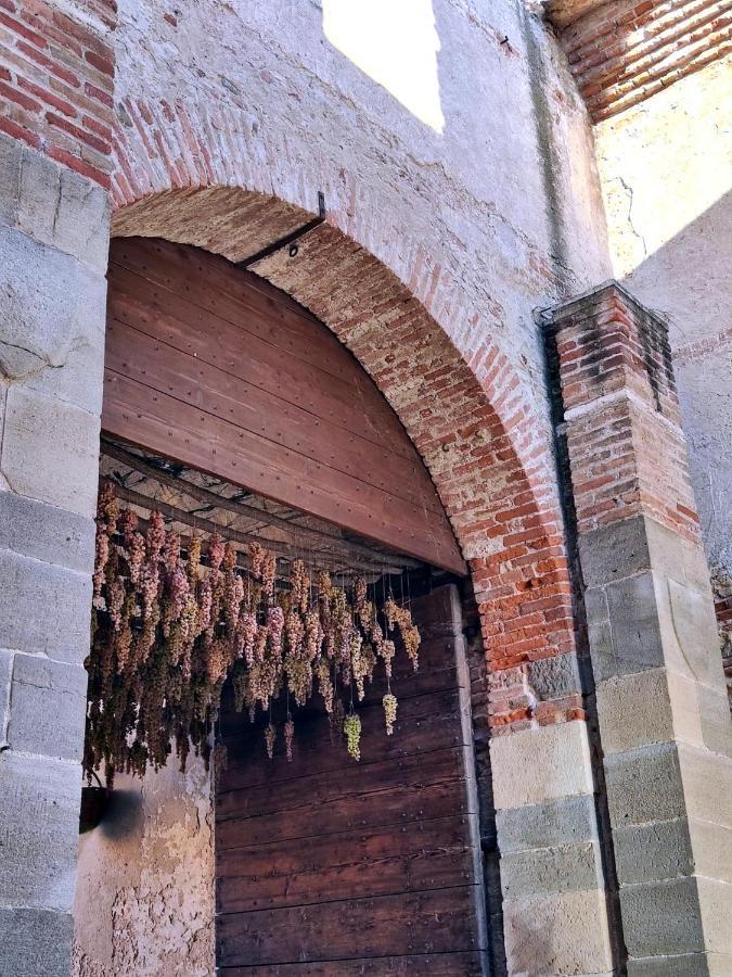 Stanza Allegra Soave エクステリア 写真