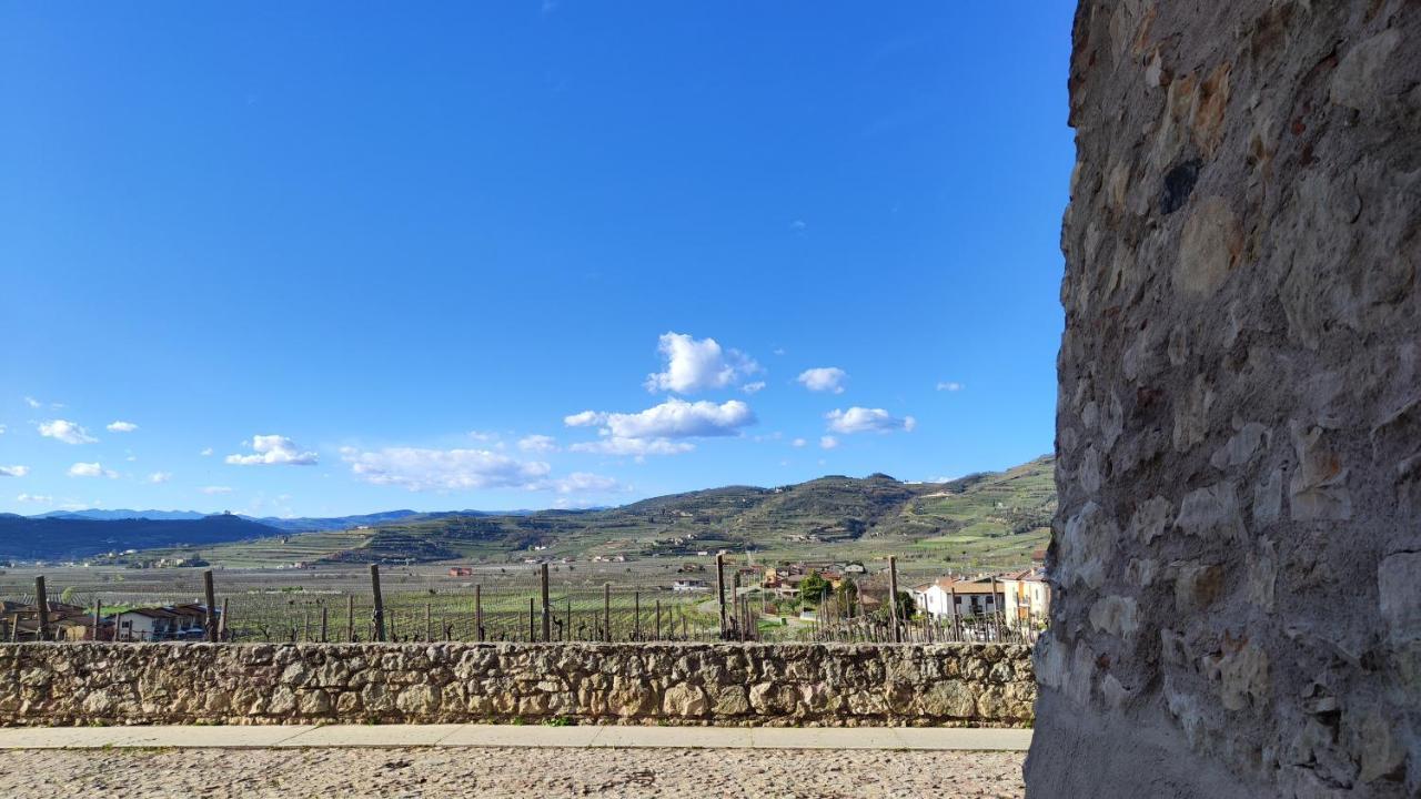 Stanza Allegra Soave エクステリア 写真